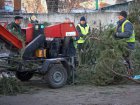 У Харкові утилізують новорічні ялинки