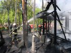 У Харкові через обстріли було знищено понад дві тисячі дерев