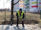 У Харкові з початку року привели до ладу понад 340 колонок
