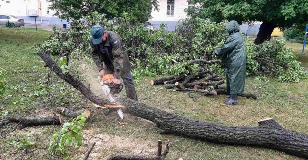 У Харкові усувають наслідки негоди 