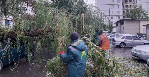 У Харкові усувають наслідки негоди