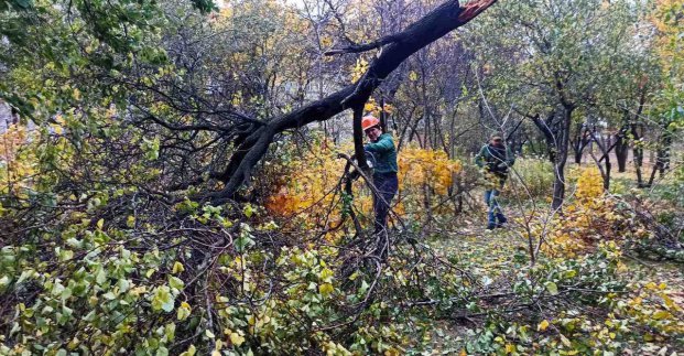 У Харкові усувають наслідки буревію (оновлено)