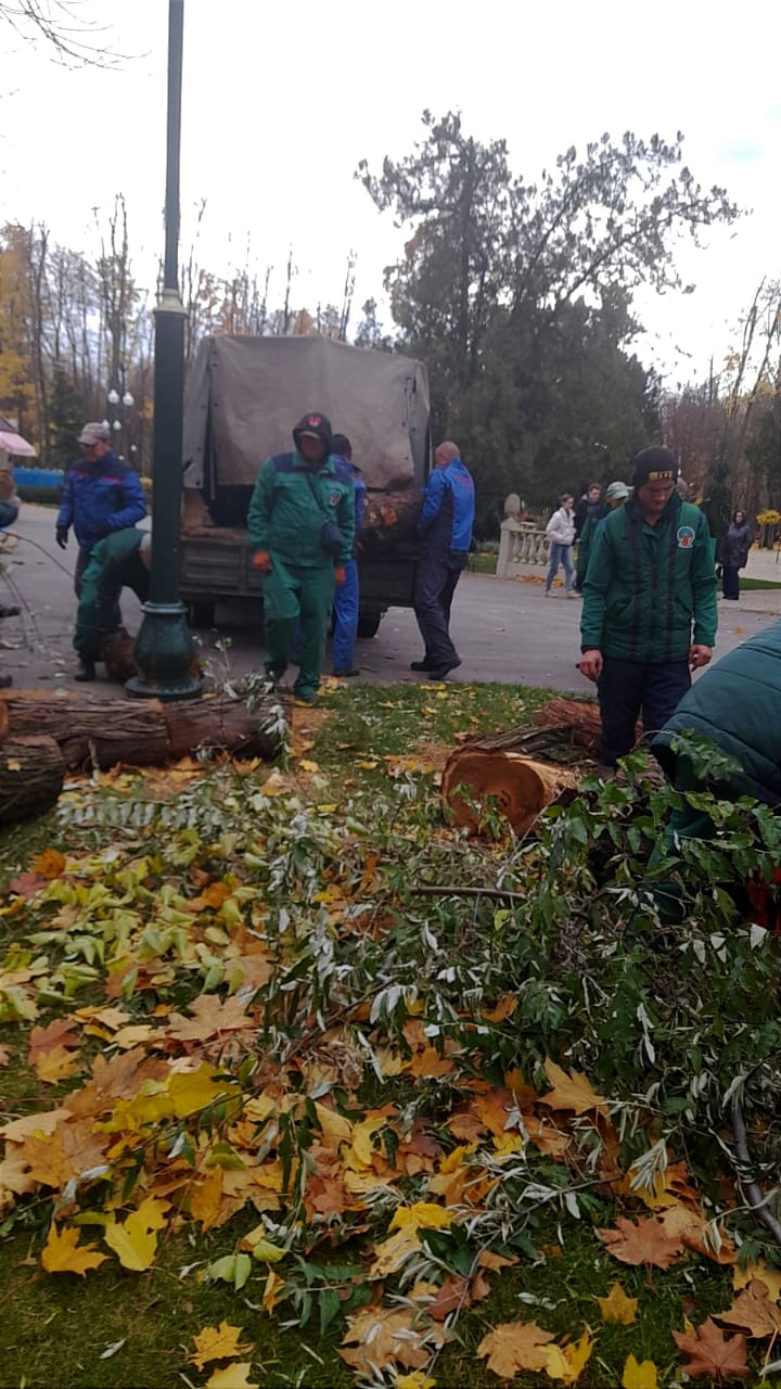 У Харкові усувають наслідки буревію (оновлено)