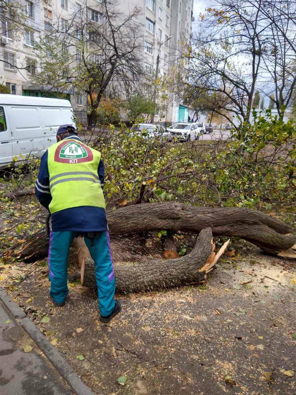 У Харкові усувають наслідки буревію (оновлено)