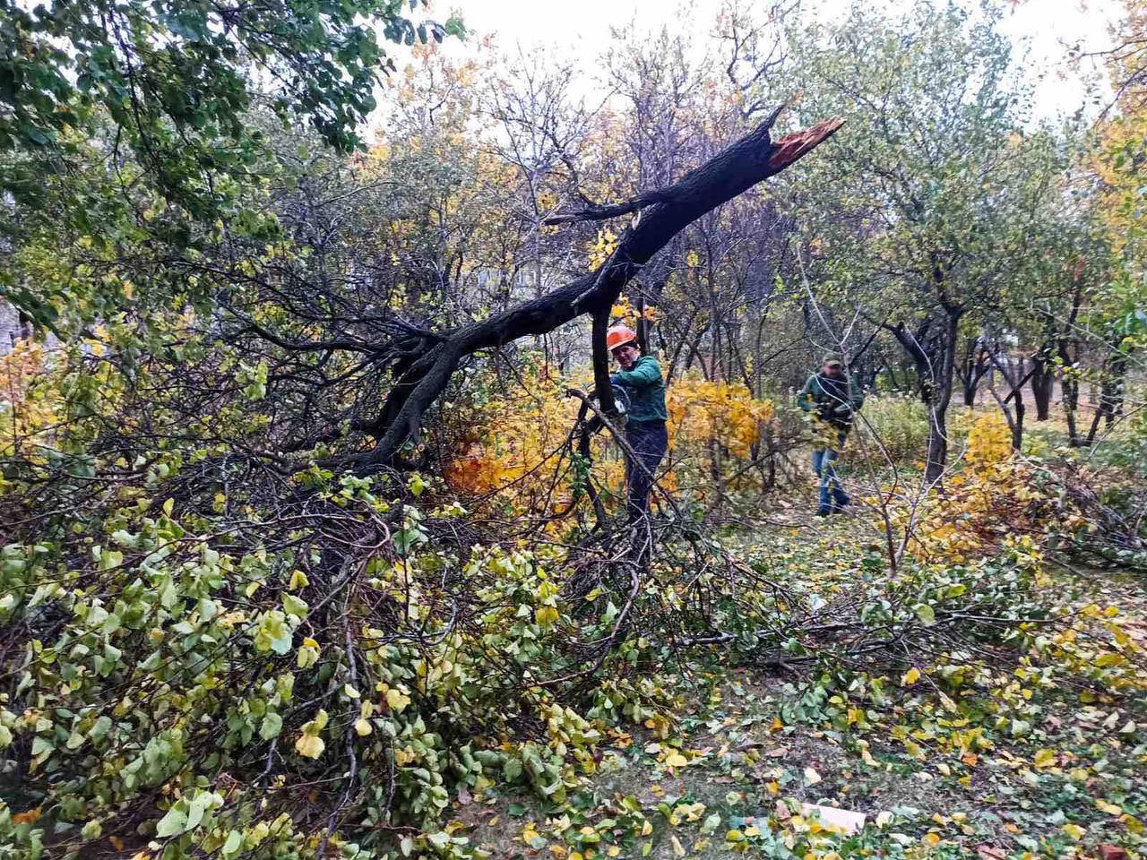 У Харкові усувають наслідки буревію (оновлено)
