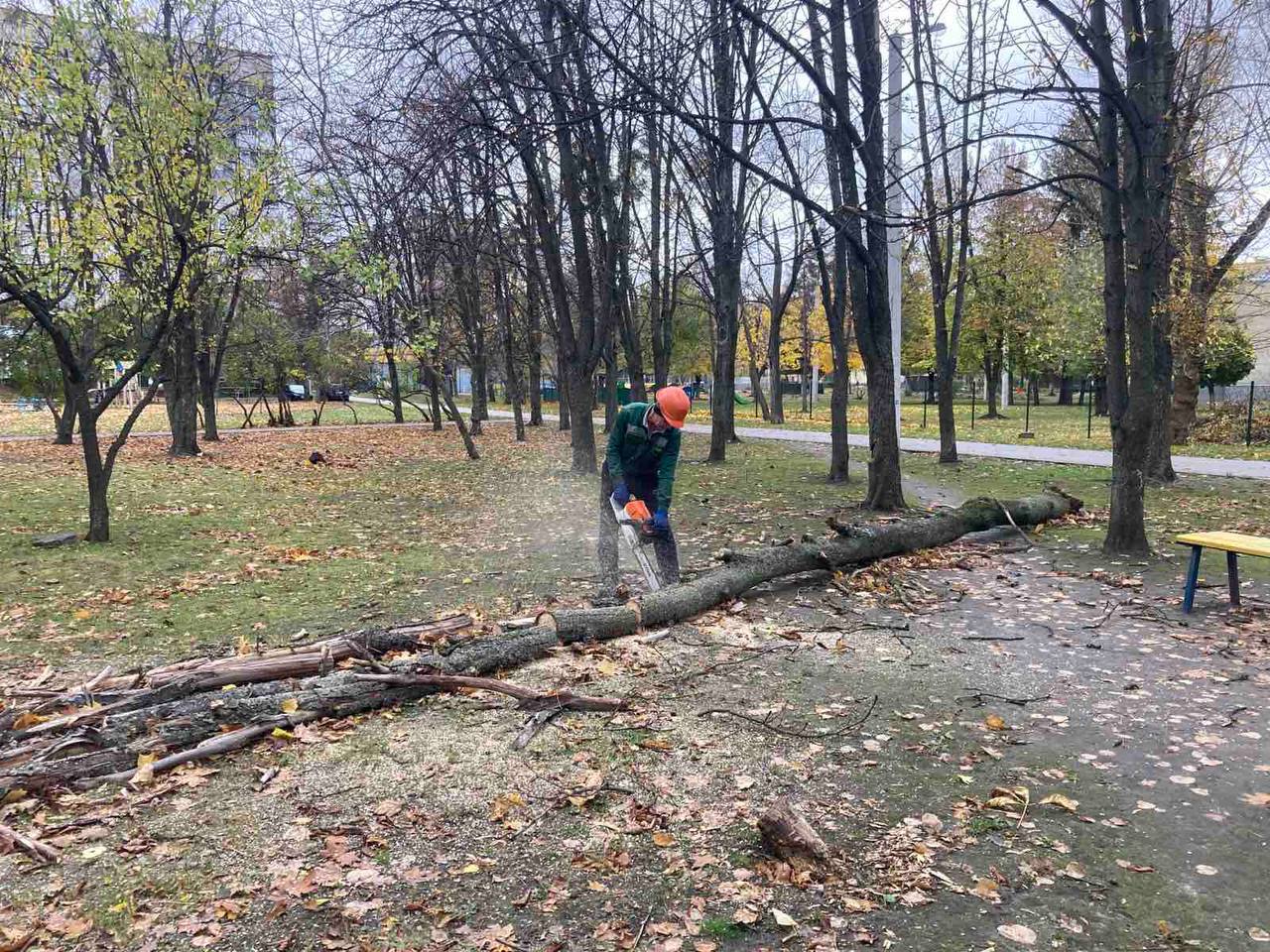 У Харкові усувають наслідки буревію (оновлено)