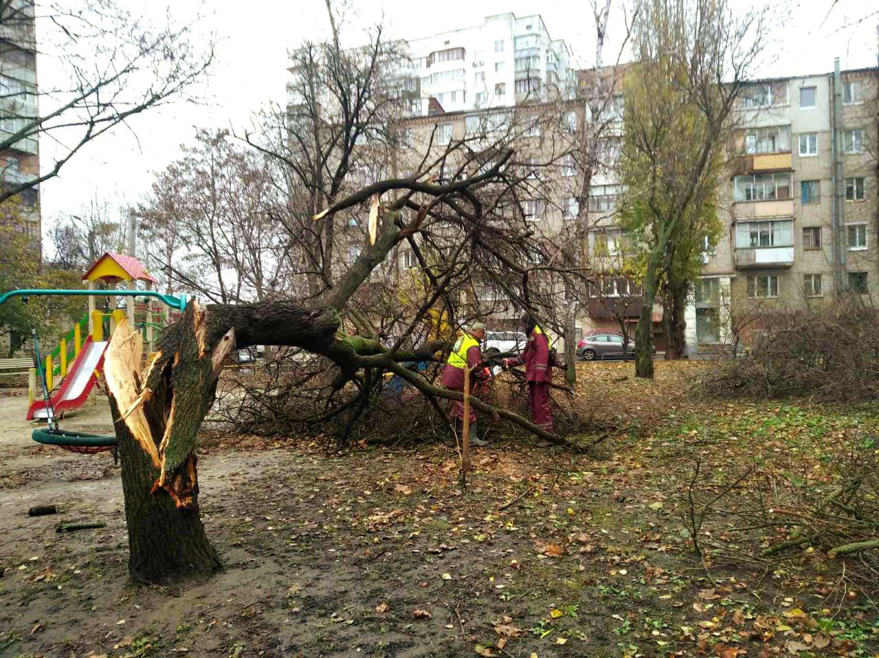 Комунальні служби продовжують усувати наслідки буревію