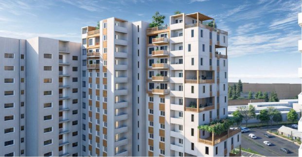 Igor Terekhov told what will be built on the site of the demolished houses
