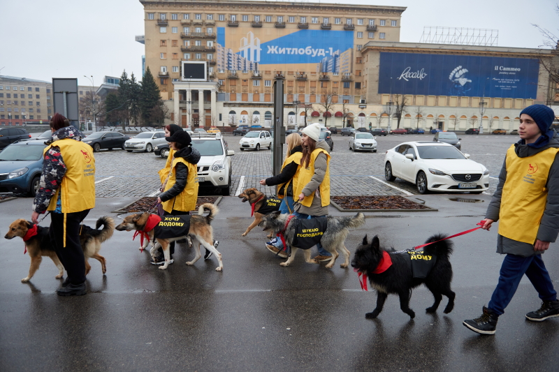 У Харкові відбулася акція «Візьми друга з притулку»