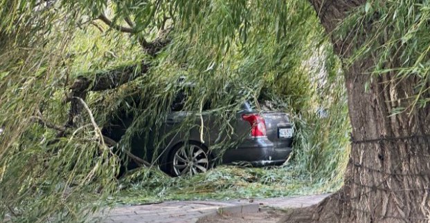 Харків’ян закликають не ставити автомобілі під деревами