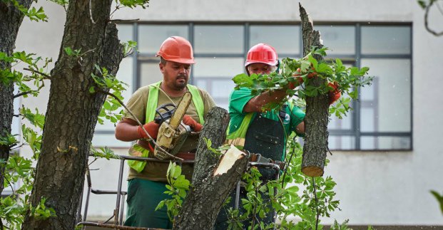 У Харкові майже повністю ліквідовано наслідки негоди