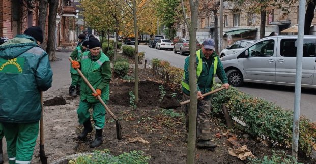 У Київському районі висаджують дерева