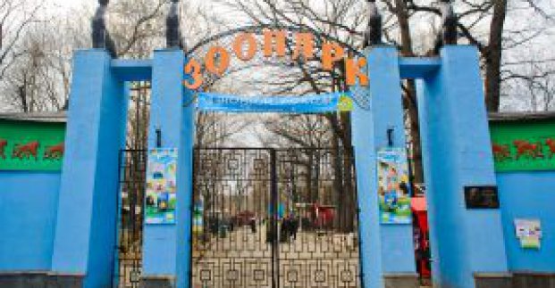 У Харківському зоопарку з'явиться білий ведмедик