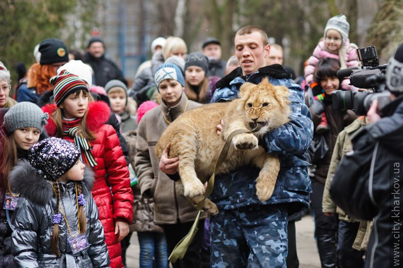 У Харківському зоопарку з'явиться білий ведмедик