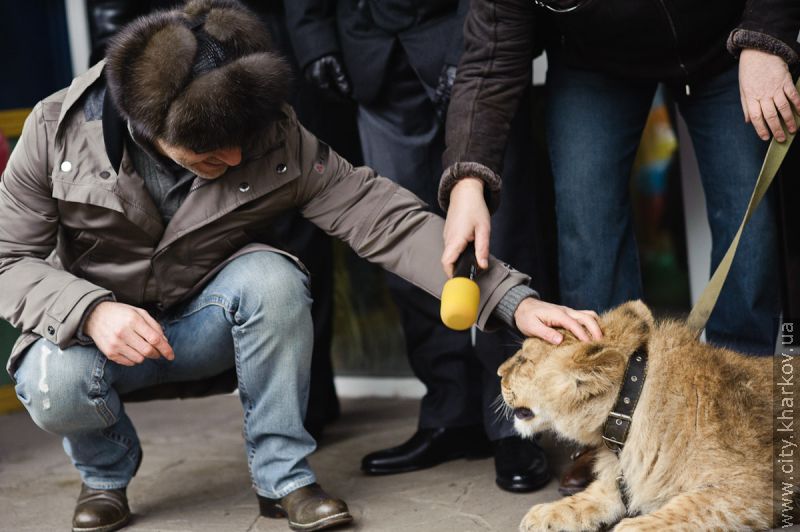 У Харківському зоопарку з'явиться білий ведмедик