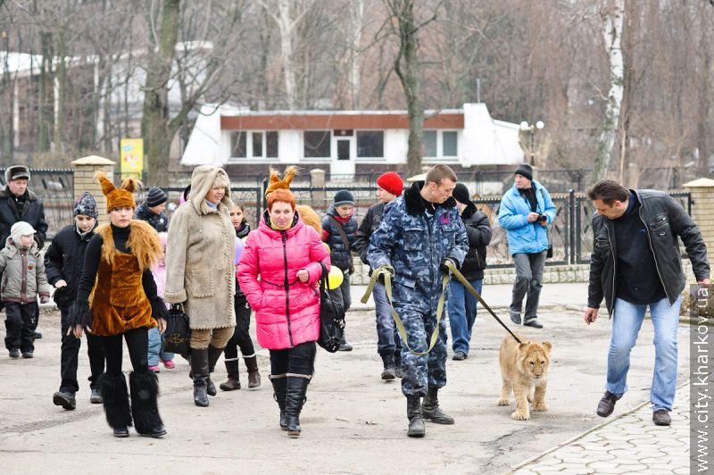 У Харківському зоопарку з'явиться білий ведмедик