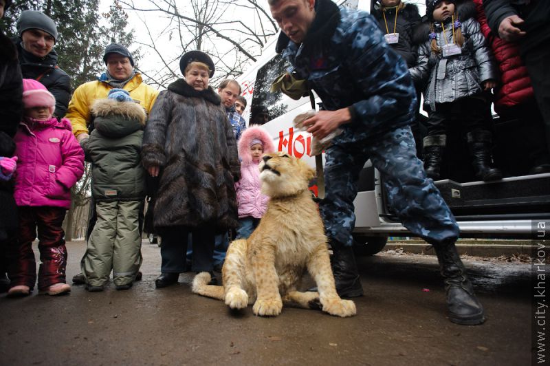 У Харківському зоопарку з'явиться білий ведмедик