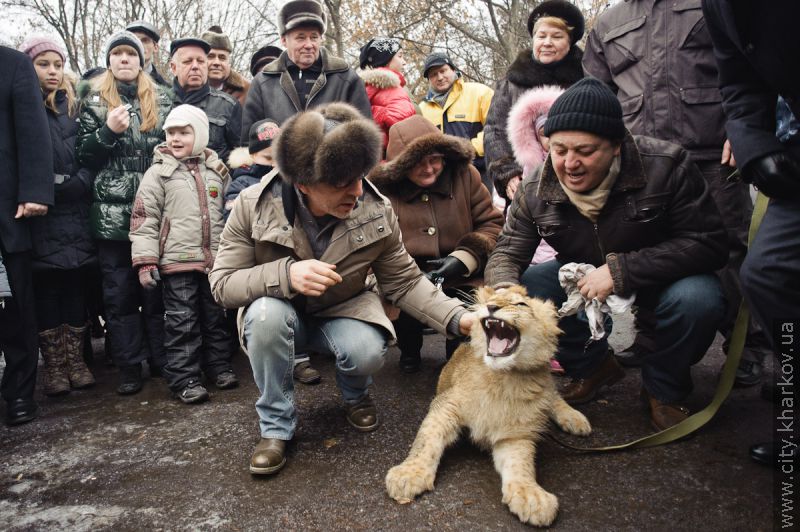 У Харківському зоопарку з'явиться білий ведмедик