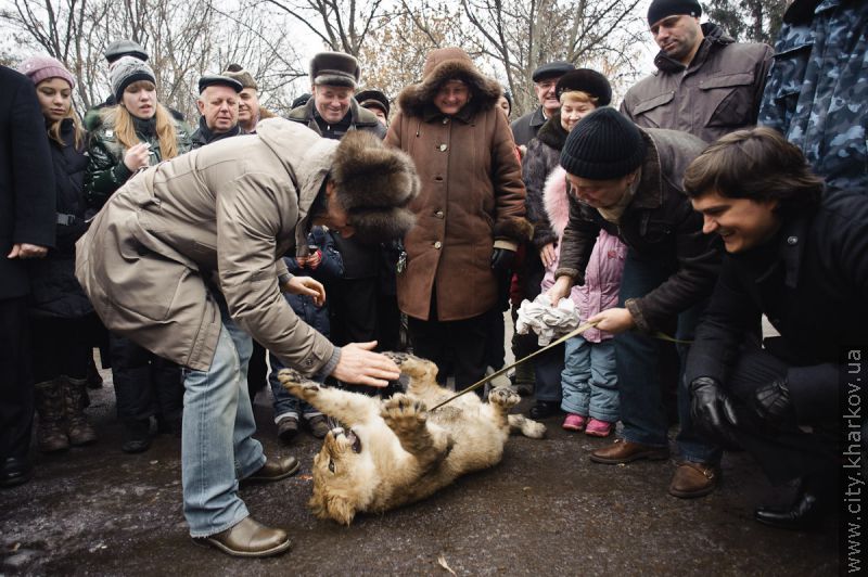 У Харківському зоопарку з'явиться білий ведмедик