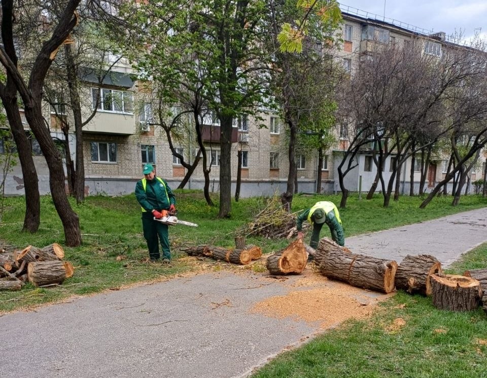 У Харкові усувають наслідки буревію (оновлено)