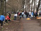 Стартує двомісячник благоустрою «Зелена весна - 2012»
