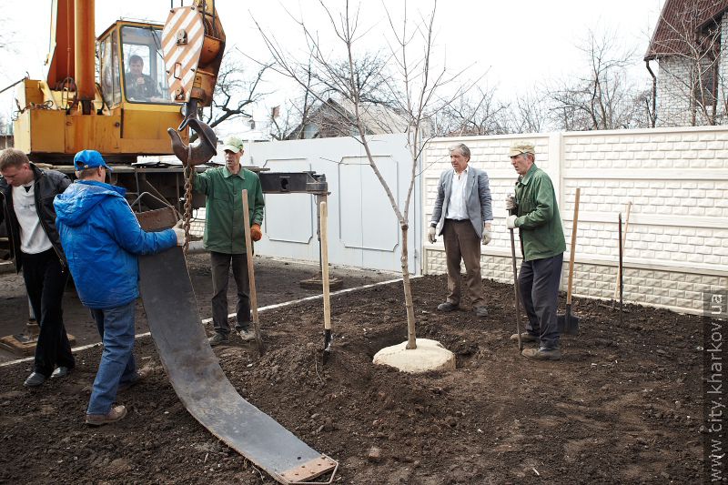 На проспекті Гагаріна висадили дерева