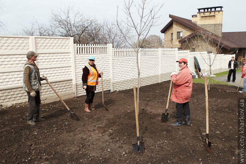 На проспекті Гагаріна висадили дерева