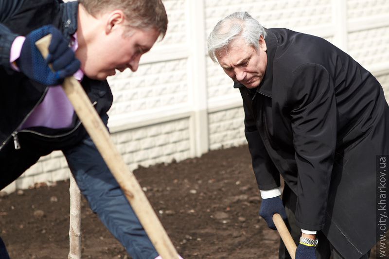 На проспекті Гагаріна висадили дерева
