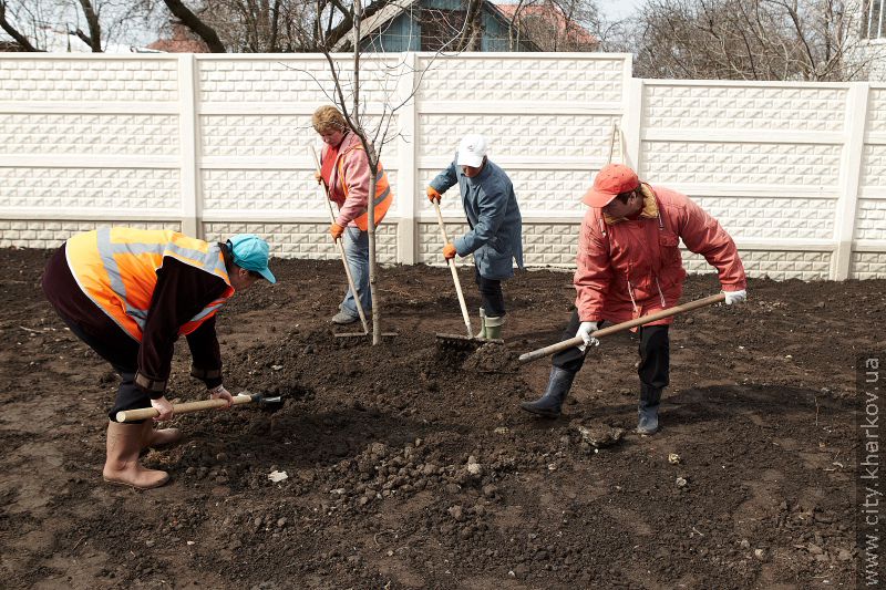 На проспекті Гагаріна висадили дерева