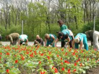 Сьогодні журналісти можуть ознайомитися з озелененням на меморіалі Слави та в сквері «Стрілка»