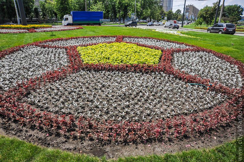 На Університетському пагорбі відкрили євроклумбу