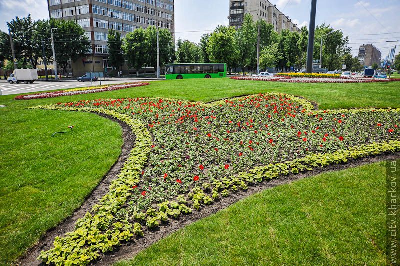 На Університетському пагорбі відкрили євроклумбу