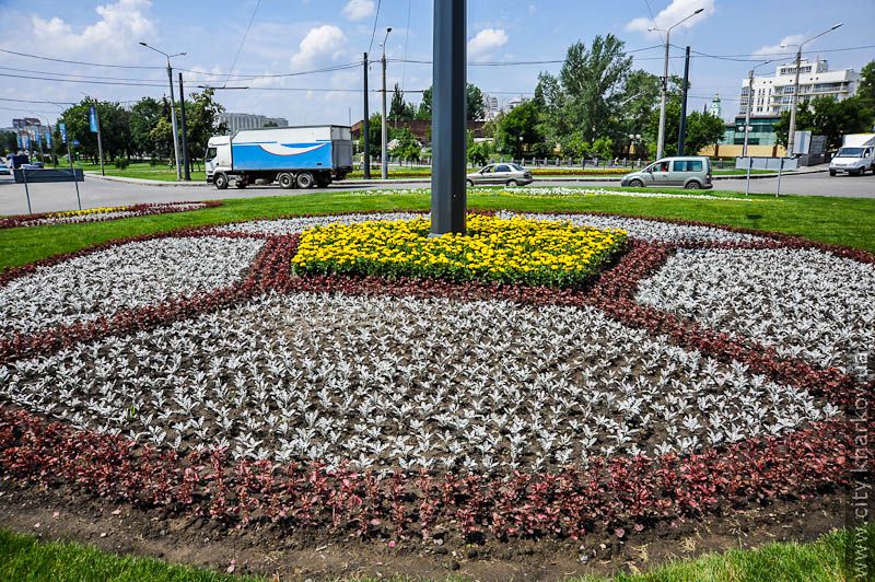 На Університетському пагорбі відкрили євроклумбу