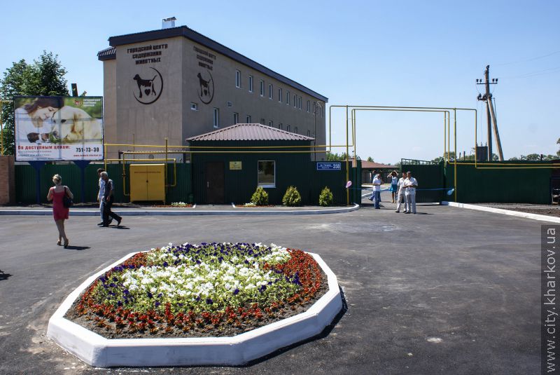 Харківський досвід зі створення притулку для тварин запропонують іншим регіонам
