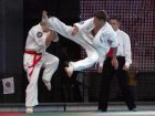 Kharkiv was successful at the world championship in Mixed Martial Arts
