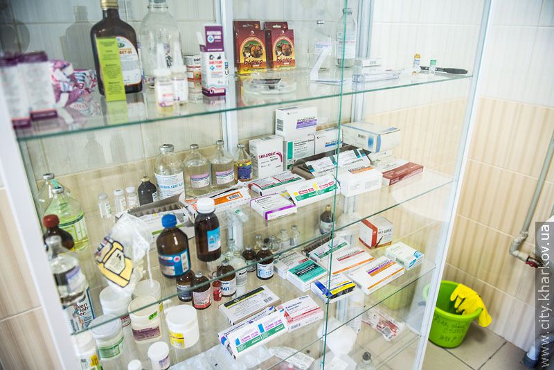 Німецький експерт високо оцінив роботу харківського притулку для тварин