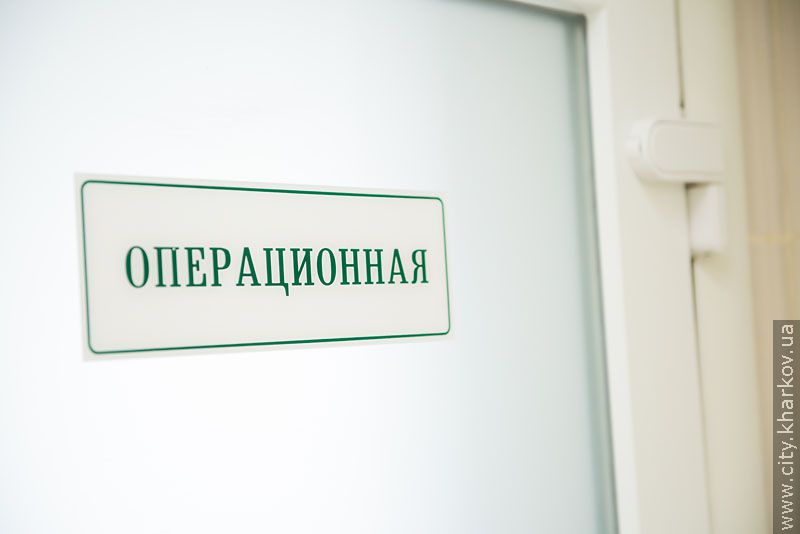 Німецький експерт високо оцінив роботу харківського притулку для тварин