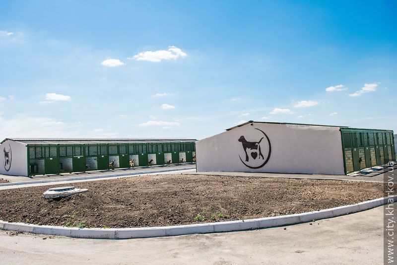 Німецький експерт високо оцінив роботу харківського притулку для тварин