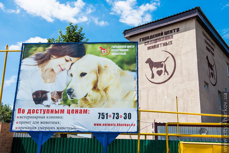 Вартість будівництва притулку для тварин - 15 мільйонів гривень