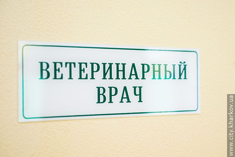 Вартість будівництва притулку для тварин - 15 мільйонів гривень