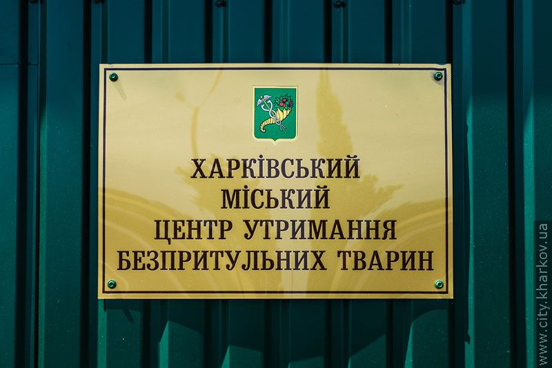Вартість будівництва притулку для тварин - 15 мільйонів гривень