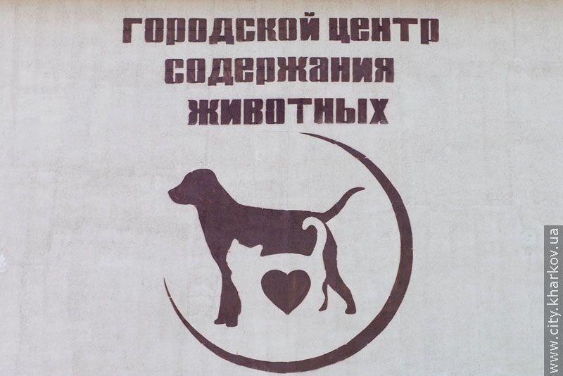 Вартість будівництва притулку для тварин - 15 мільйонів гривень