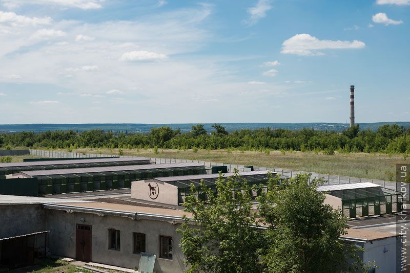 Вартість будівництва притулку для тварин - 15 мільйонів гривень