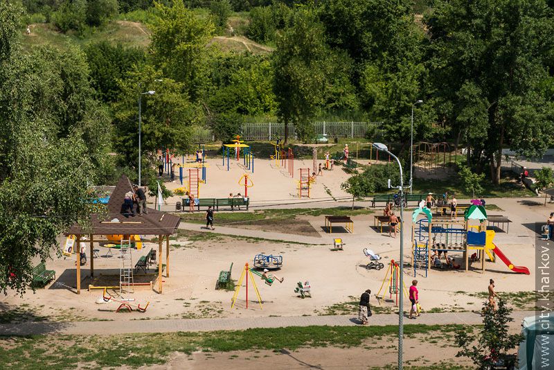У Саржиному яру до Дня міста з'явиться квітковий годинник