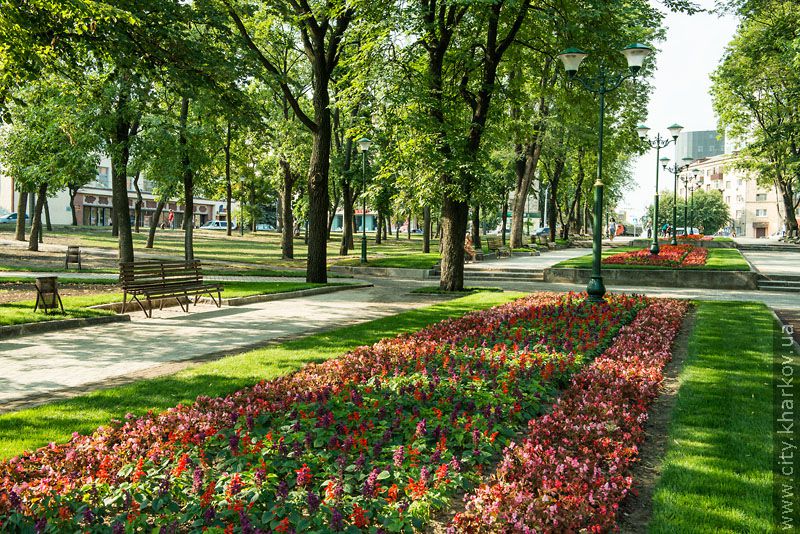 У Харкові масово реконструюють парки та сквери