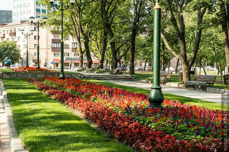 У Харкові масово реконструюють парки та сквери