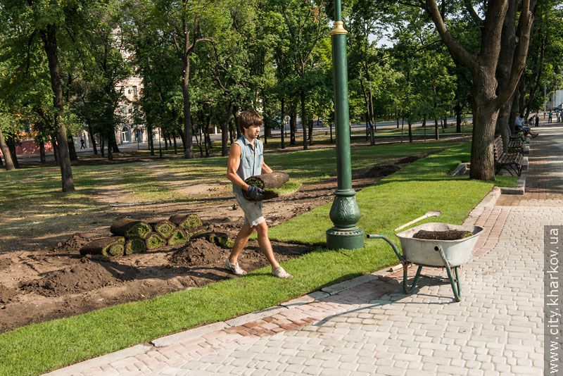 У Харкові масово реконструюють парки та сквери