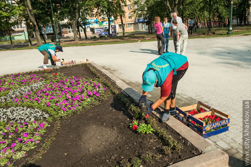 У Харкові масово реконструюють парки та сквери