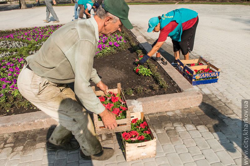 У Харкові масово реконструюють парки та сквери