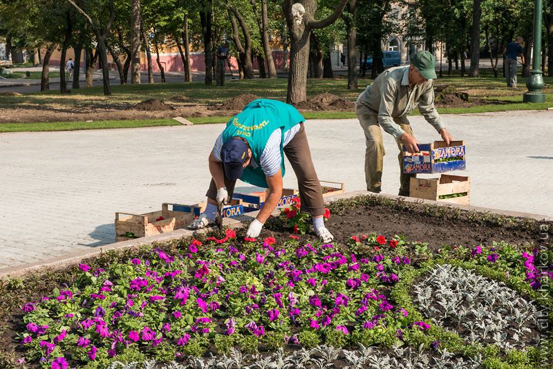 У Харкові масово реконструюють парки та сквери